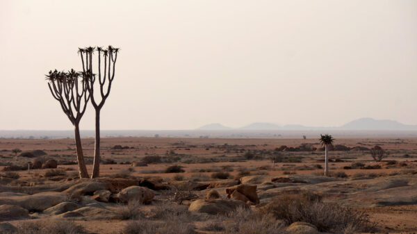 Wüste - Fotografie: Momo Kohlschmidt - Die Künstlergruppe Mangan25