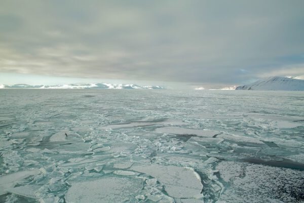 Gletscher, Arktis - Fotografie: Gordon Adler - Die Künstlergruppe Mangan25